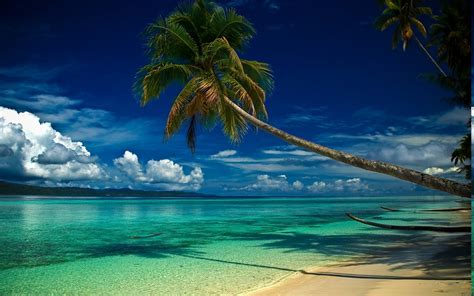 Nature Landscape Beach Palm Trees Clouds Sea Hill Morning