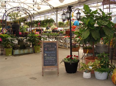 Spring Is Unfolding At Hillermanns Hoffmann Hillermann Nursery