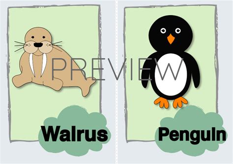 Walrus And Penguin Flashcard Gru Languages