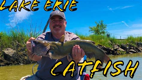 How To Catfish Lake Erie Fish Every Cast Youtube