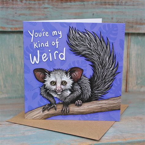 Youre My Kind Of Weird Aye Aye Card By Lyndsey Green Illustration