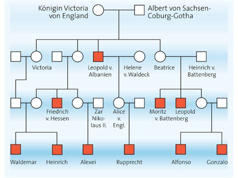 Und königin victoria sind die beiden am längsten amtierenden monarchen in der britischen geschichte. Königin Victoria Von England Stammbaum : Royals Gekronte ...