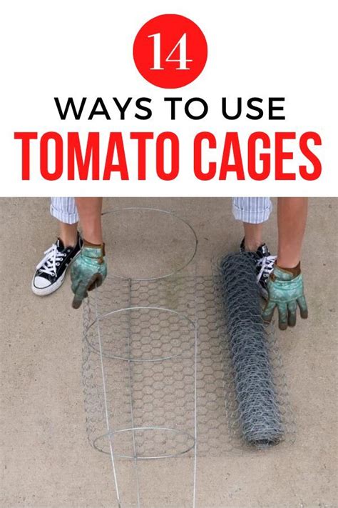 14 Cheap And Easy Home Decor Ideas With Tomato Cage Tomato Cage