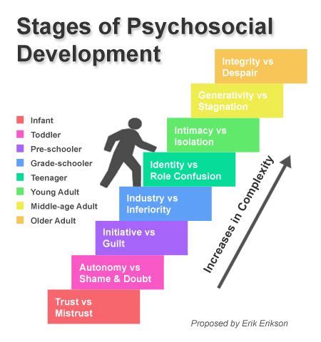 Erikson emphasized that the ego makes positive contributions to development by mastering attitudes, ideas, and skills at each stage of. Erikson's Stages of Psychosocial Development | Stages of ...