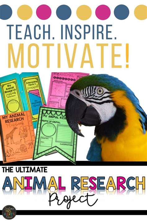 Looking For Ideas On An Animal Research Project For Kids Guaranteed To