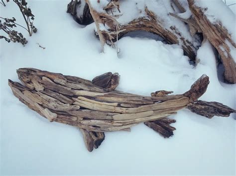 Driftwood trout by artist, Jennifer Szczyrbak | Driftwood crafts, Driftwood projects, Driftwood art