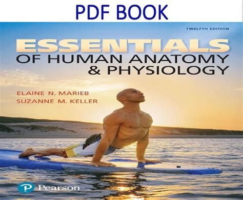 Essentials Of Human Anatomy And Physiology 12th Edition Pdf Book By