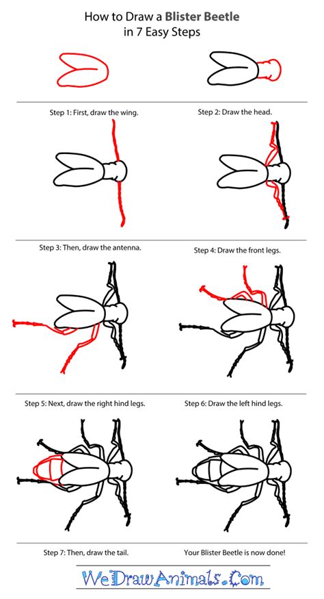 Https://tommynaija.com/draw/how To Draw A Blister