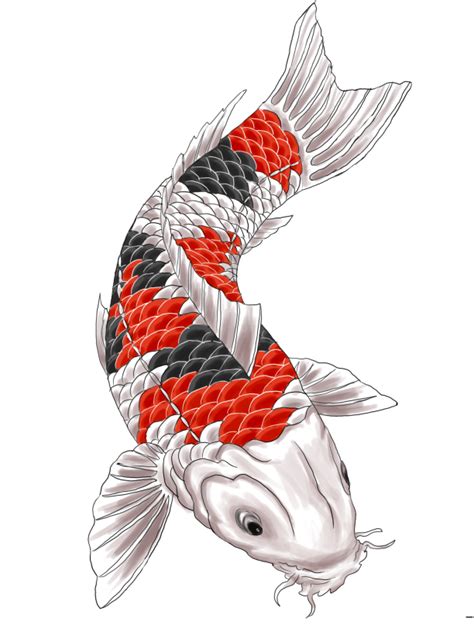 Koi Fish Tattoo Designs Choosing Superb Japanese Or