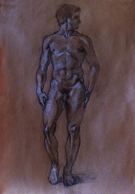 Male Nude Figure Drawing By Kate Borcov Saatchi Art My Xxx Hot Girl