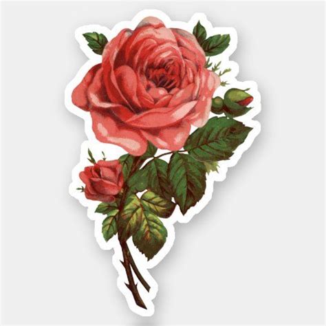 Vintage Red Rose Sticker Scrapbook Stickers Printable Floral