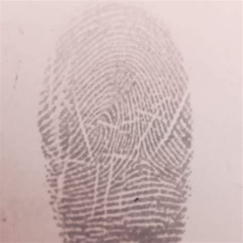 Fingerprints National Museum Of Forensic Science