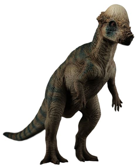 Image Jurassic Park Pachycephalosaurus By Camo Flauge Dcfu6qxpng