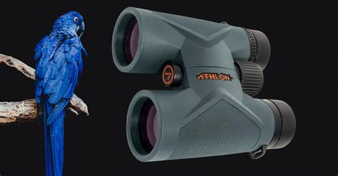 7 Best Compact Binoculars For Birding Of 2023 Small Binoculars For Birding Review