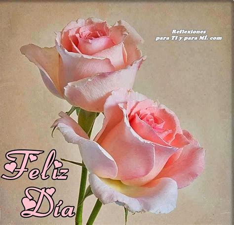 Buenos Deseos Para Ti Y Para MÍ Feliz DÍa Par De Rosas Color Rosa