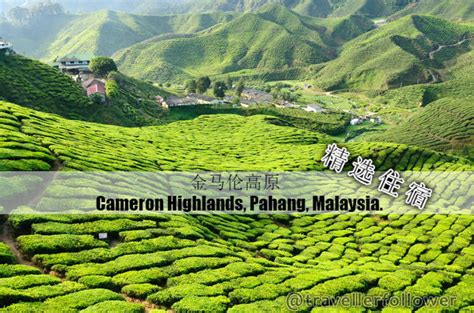 Relax at cameron highlands tea plantations. 6间精选金马伦高原住宿 Cameron Highlands Staycation (RM121 & SGD40 ...