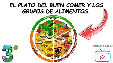 El Plato Del Buen Comer Y Los Grupos De Alimentos Youtube