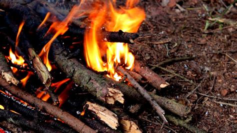 Crackling Sound Effect Fireplace Bushfire Sound Campfire Asmr