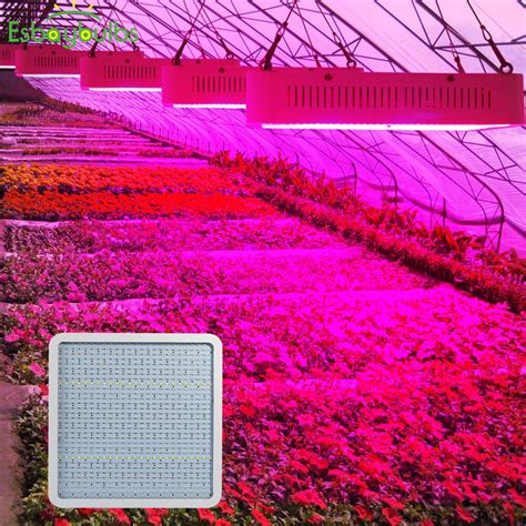 We did not find results for: LED Grow Light 800W seedplant indoor Phyto Lamp Full ...