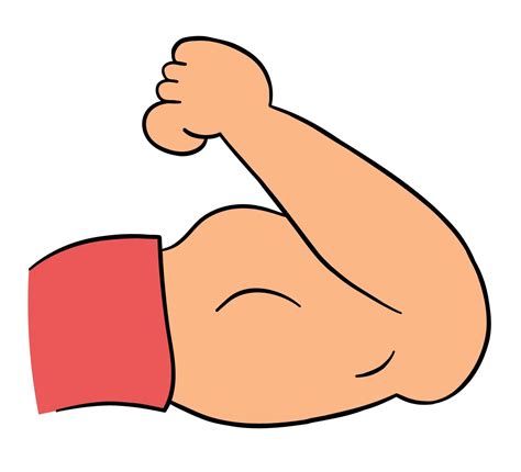 Ilustración De Vector De Dibujos Animados De Bíceps De Brazo Musculoso