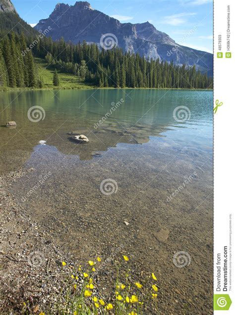Emerald Lake Landscape British Columbia Stock Image Image Of Emerald