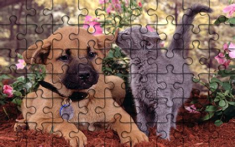 Jigsaw Puzzles Ultimate Game Animalsappstore For Android