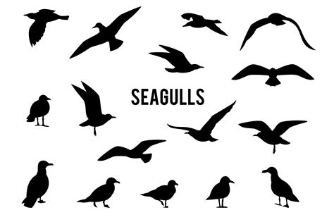 Silhouettes Of Flying Seagulls Graphics Creative Market
