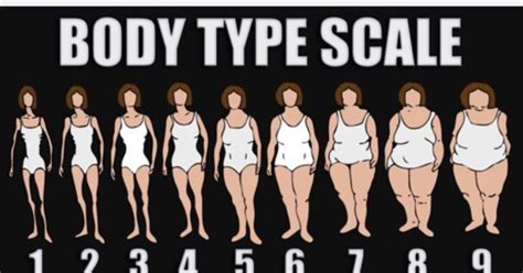 your ideal body type girlsaskguys