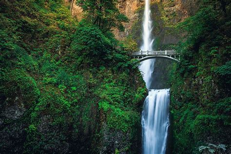 Top 10 Portland Tourist Attractions Worldatlas