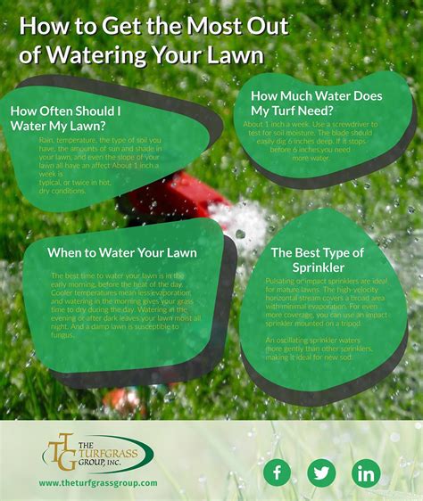 How Often Should You Water Your Lawn Lawns Pedia