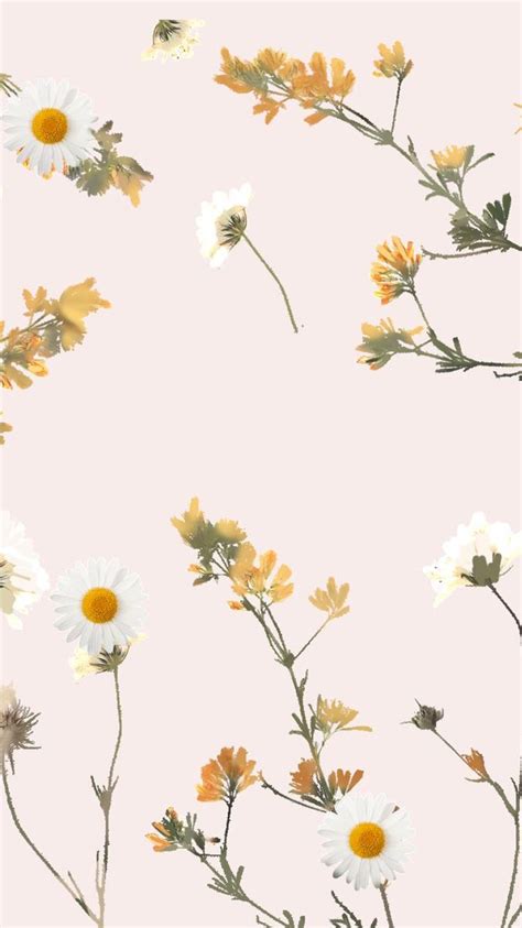 Pastel Aesthetic Flower Wallpaper Iphone 563x1002 Download Hd