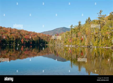 Treeline Hi Res Stock Photography And Images Alamy