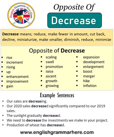 Opposite Of Decrease Antonyms Of Decrease Meaning And Example