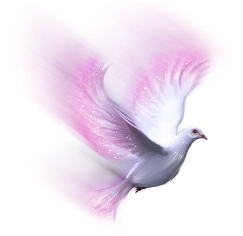 Dove Png Photo Png Arts