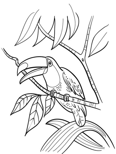 Make a coloring book with toucan printable for one click. Toucan coloring pages. Download and print Toucan coloring ...