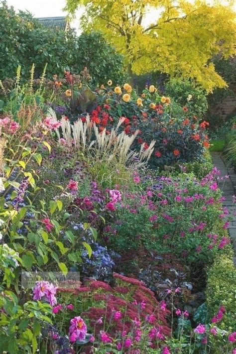 26 Popular Collection Best Cottage Garden Plants Home Decor And