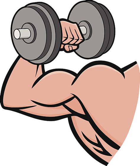Cartoon Of Bicep Curl Stock Photos Pictures And Royalty Free Images Istock
