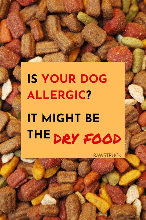 The best and most accurate method of diagnosing food. Does your dog have food allergies? | Dog allergies ...