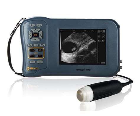 Sheep Goat And Pig Ultrasound Equipment Agriscan