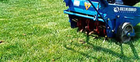 Compacted soil is the most common reason why a lawn may become hard. Aeration and Aerating A Lawn