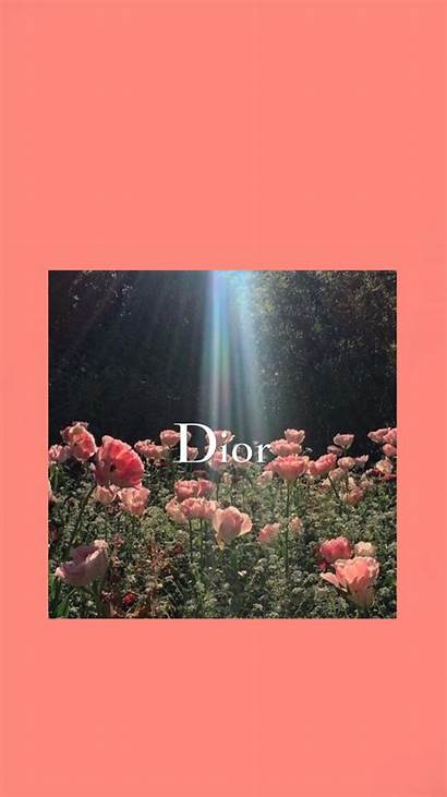 Aesthetic Dior Iphone Wallpapers Designer Lockscreen Vsco