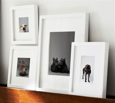 Framed Dog Art Yawning Dogs Portraits Of Dogs Home Dog Art