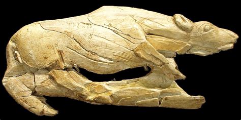 Prehistoric Artifacts In Museums Ancientartcreeping Hyena