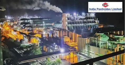 Bidders can visit the bse and nse websites to check their status. India Pesticides IPO Allotment Status Check Online: know ...