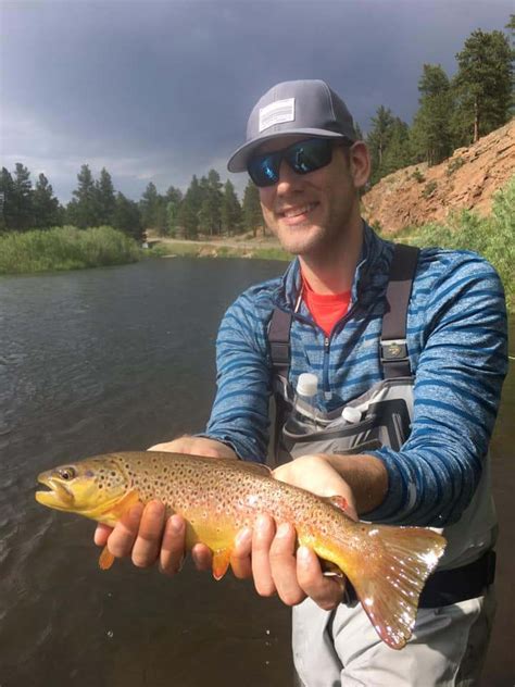 Trouts Fly Fishing Featured Trouts Guide Report Of The