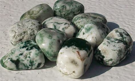 Crystals and Gemstones: Moss Tree Agate Healing Properties