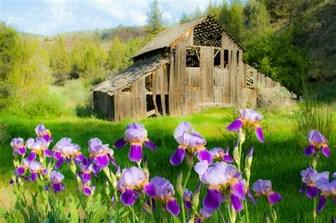 Pin By Melpo Siouti On Spring On The Farm Barn Pictures Old Barn