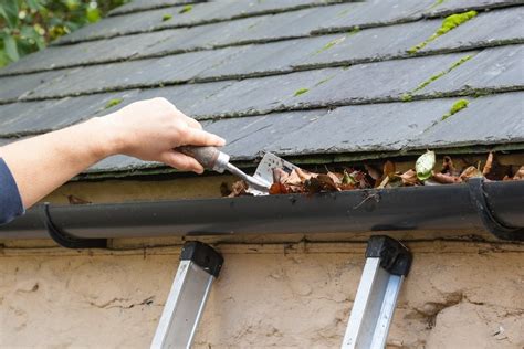 Cleansing your gutters doesn't have to be a big endeavor. The Best time to clean your eavestrough