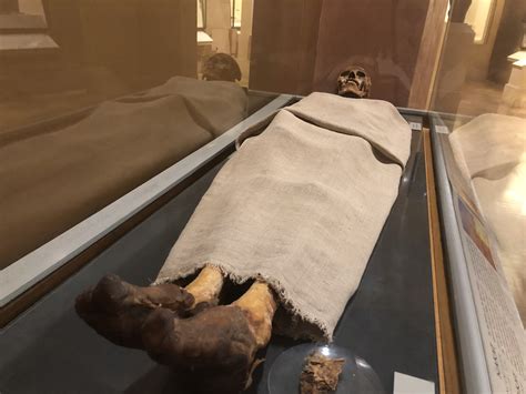 Khentiamentiu Egyptian Mummies And Their Stories In Museums Nile Scribes