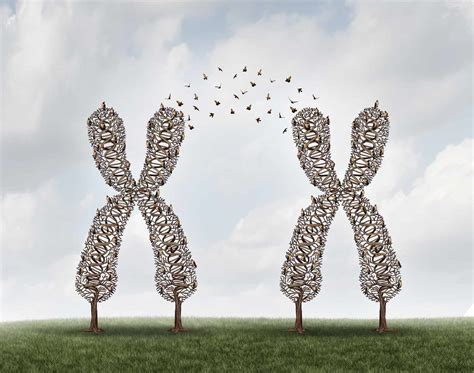 Genetic Recombination